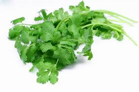 CORIANDER SEED OIL (INDIAN) - Essential Oil