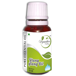 YLANG YLANG OIL - Essential Oil