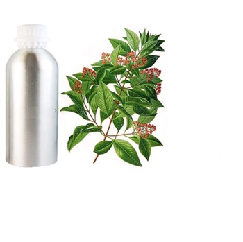 AMYRIS OIL - Essential Oil