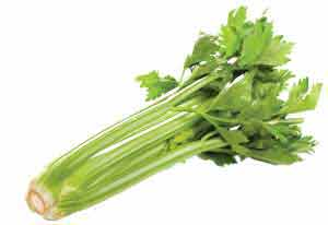 Celery Seed Oil