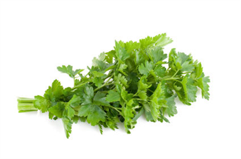 PARSLEY SEED OIL