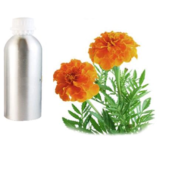 TAGETES OIL - Essential Oil