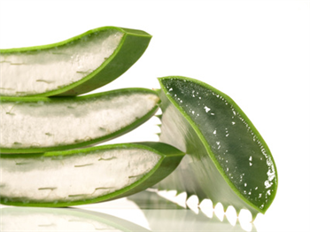 ALOE VERA GEL - Natural Carrier Oil