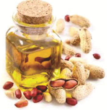 ARACHIS OIL - Natural Carrier Oil