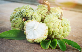 CUSTARD APPLE SEED OIL