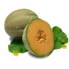 MUSK MELON OIL - Natural Carrier Oil