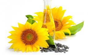 SUNFLOWER OIL